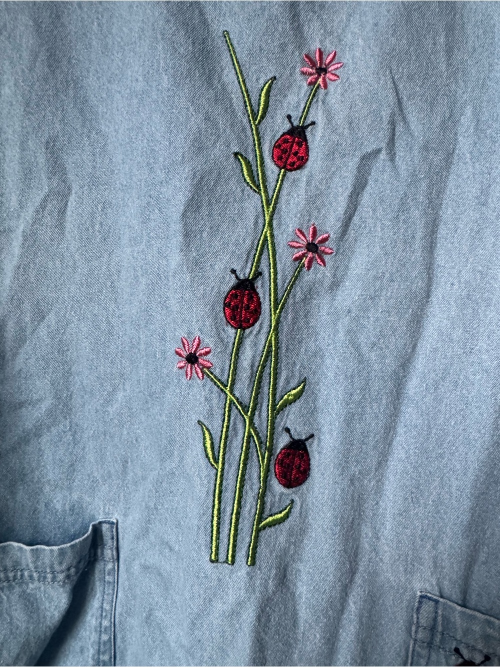 Embroidered Ladybug & Flower Denim Dress in Light Blue